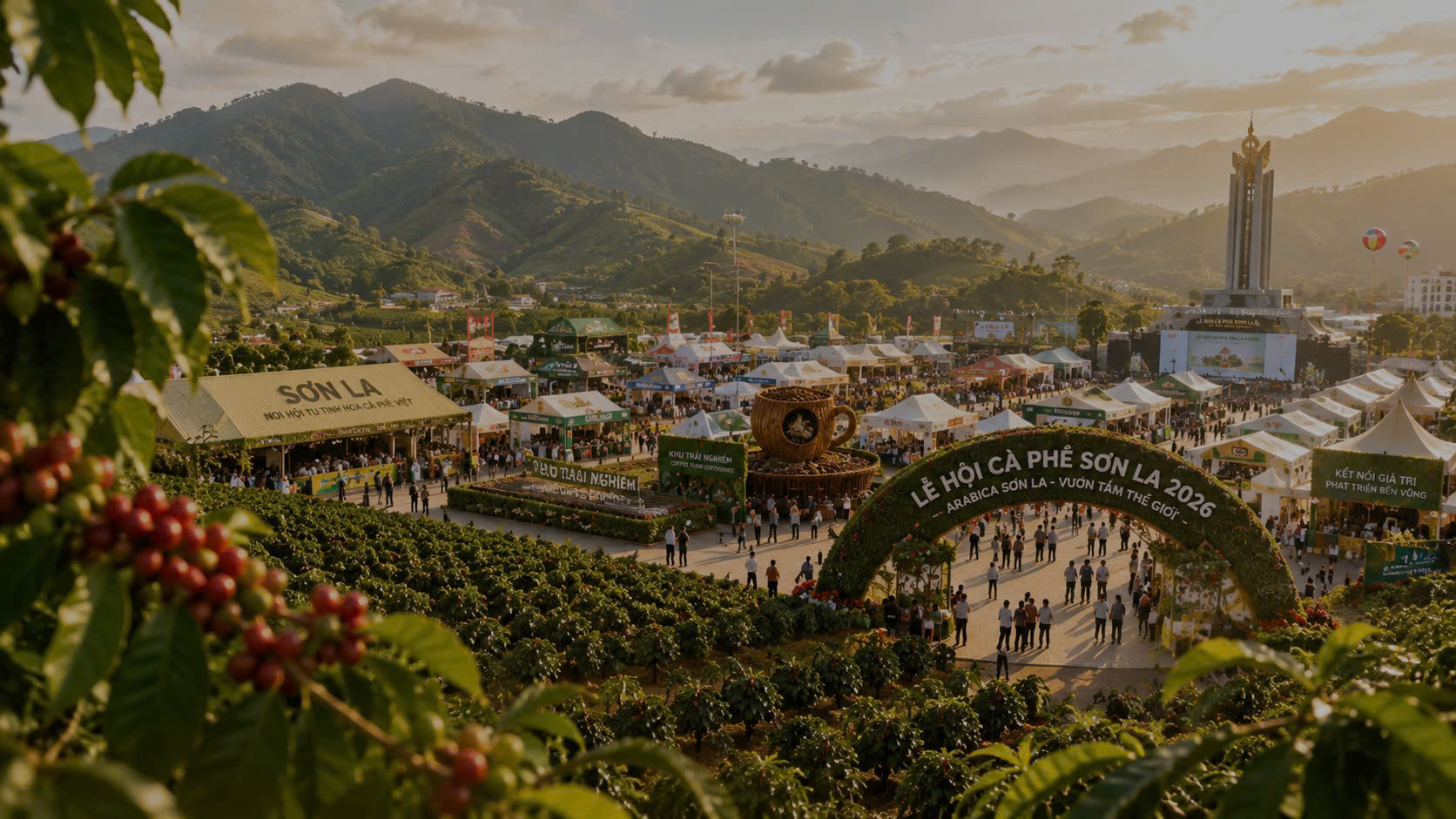 Vườn cà phê Sơn La